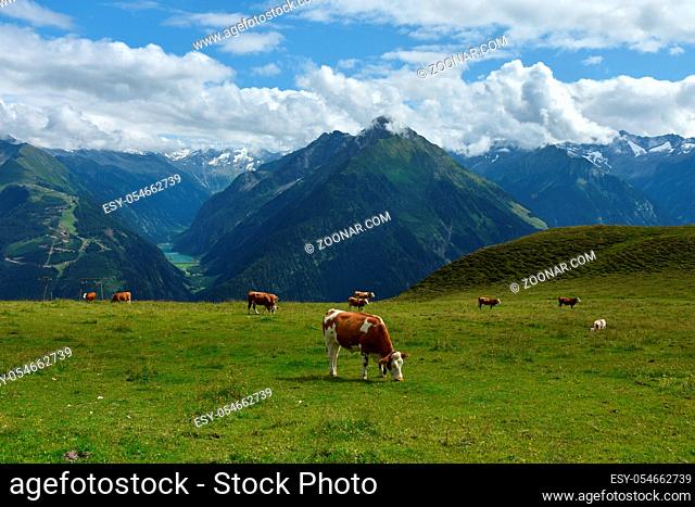 Zillertaler Alpen, Blick vom Wandergebiet Penken zum Stilluptal, Österreich