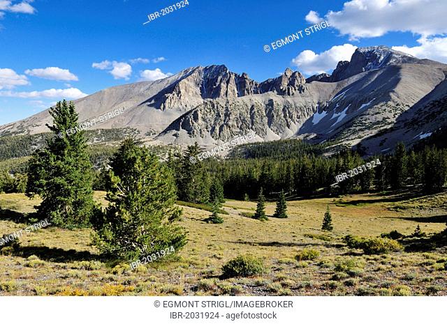 Mount Wheeler, Great Basin National Park, Nevada, USA, North America