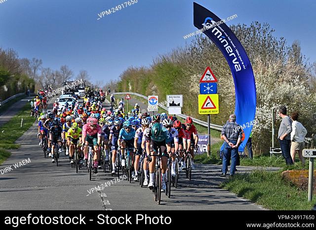 Illustration picture shows the pack of riders passing De Moeren during the men's elite race of the 'Classic Brugge-De Panne' one-day cycling race, 207