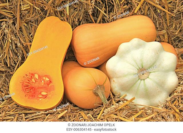 Butternut pumpkin (Cucurbita moschata)