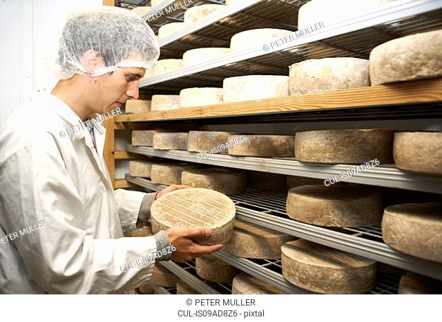 Worker examining cheese round at farm factory
