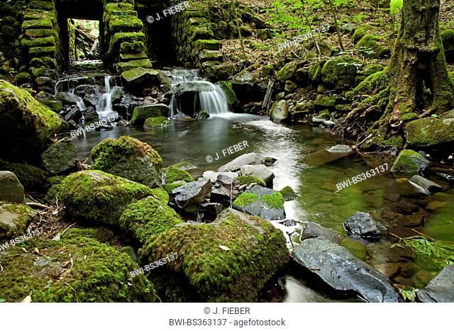 small stream in the forest, Germany, Bavaria, Rhoen