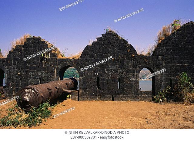 Cannon in hole and fortifications of Janjira fort , Murud , Maharashtra , India