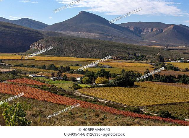 Autumn Winelands Landscapes at the Hex River Valley in the Western Cape