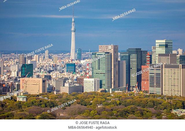 Japan, Tokyo City, Imperial Palace East Gardens, Otemachi Skyline, and Skytree Tower