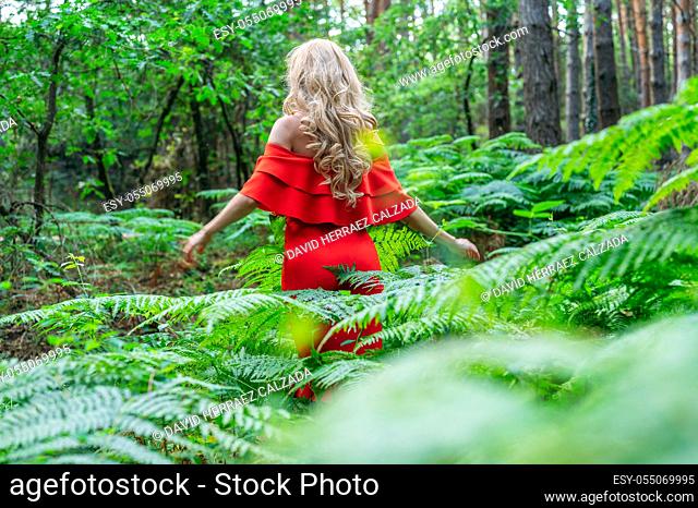 Back view of a Beautiful blonde girl in a chic red dress touching a fern in the fairy forest. Atmosphere fantastic. . High quality photo
