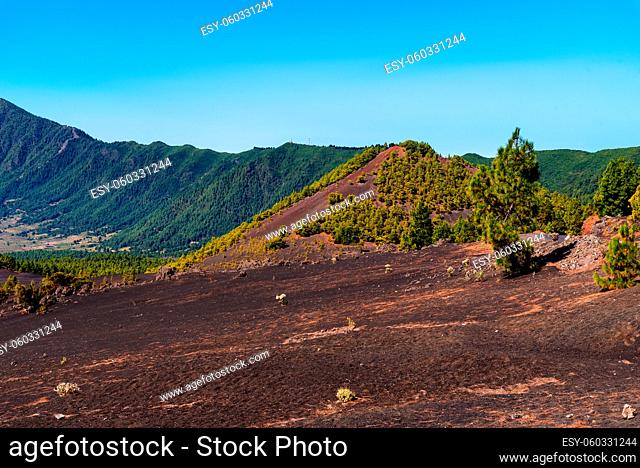 National Park of Caldera de Taburiente from Llano del Jable Astronomical Viewpoint, Cumbre Vieja Volcano. Volcanic landscape with Canarian Pine Trees Forest