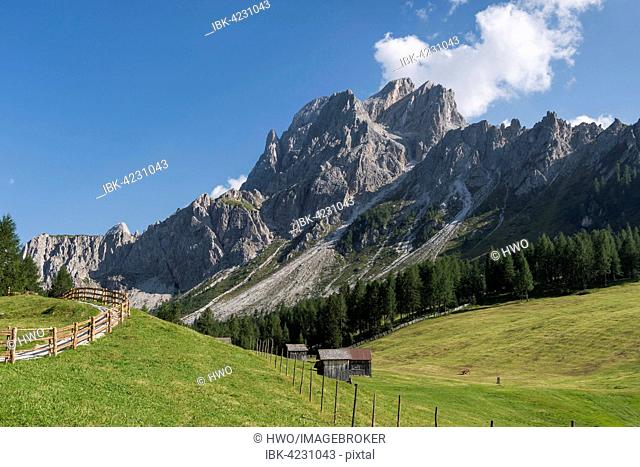 Rotwandwiesen with Croda Rossa di Sesto, Nature Park Tre Cime, UNESCO World Heritage Site, Sexten Dolomites, Alps, Province of South Tyrol, Alto Adige, Italy