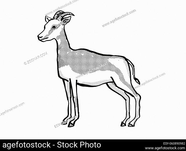 Retro cartoon line drawing style drawing of a Mhorr Gazelle, an endangered wildlife species on isolated background done in black and white full body