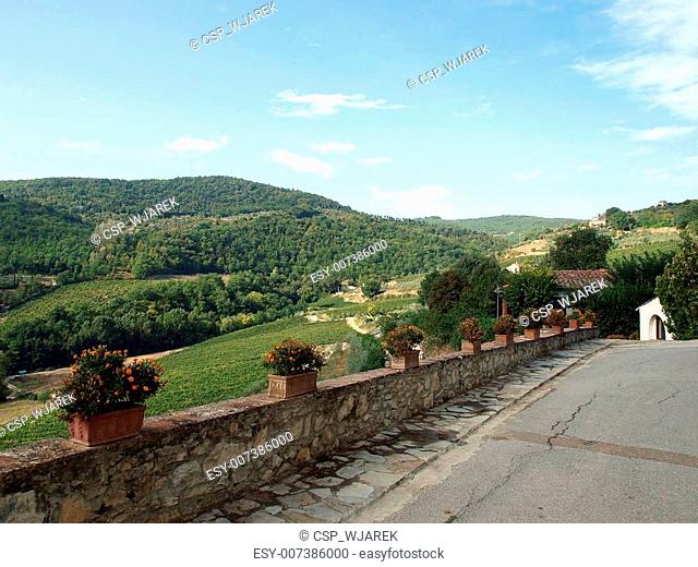 terrace with the view on vineyards in Tuscany