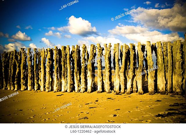 Wooden stakes, Saint Malô, Brittany, France