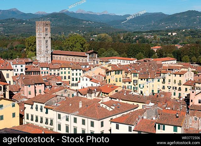 Cityscape with rooftops of Lucca town from Torre Ginigi tower. Tuscany central Italy