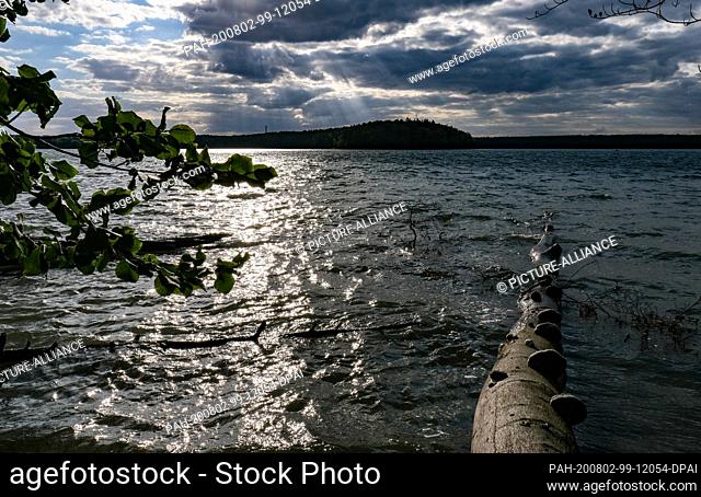 29 July 2020, Brandenburg, Neuglobsow: The Großer Stechlinsee in the late afternoon in windy weather and with partly dark clouds