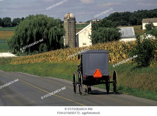 Amish, horse and buggy, Amish country, Lancaster County, Pennsylvania, Pennsylvania Dutch Country, Amish horse and covered buggy trot by Amish farms on a...