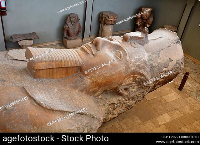 The Statue of Ramesses II in Memphis near Cairo, Egypt, October 17, 2022. (CTK Photo/Petr Svancara)