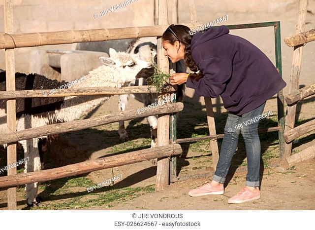 Young smiling woman feeding lama in safari park