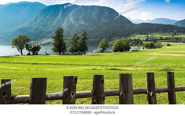 Triglav National Park, Upper Carniola, Slovenia. Meadows at the eastern end of Lake Bohinj