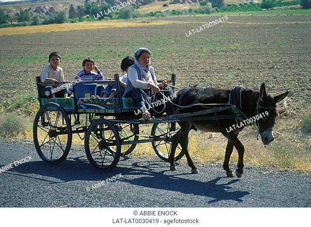 Mother / woman and children. Donkey. Cart. Road. Fields