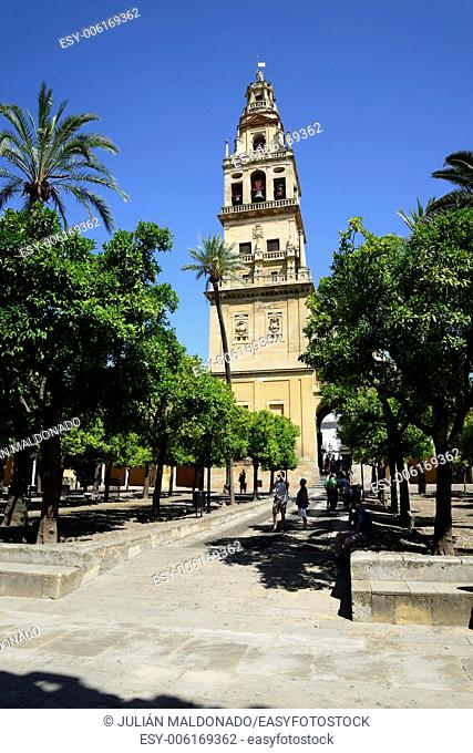 Patio de los Naranjos and the tower of the Cathedral of Cordoba, Andalucía, Spain