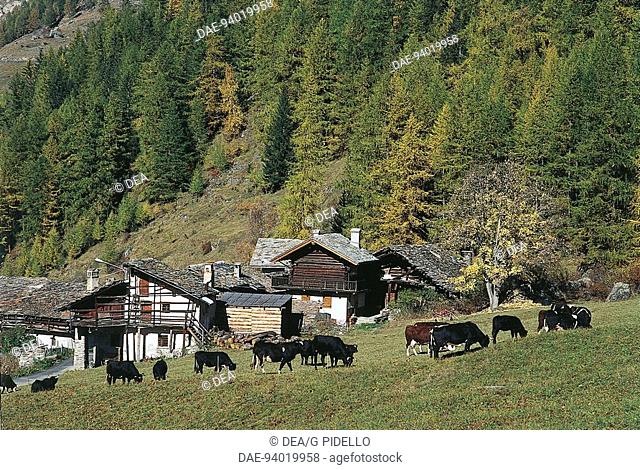 Italy - Valle d'Aosta Region - Gran Paradiso National Park - Valsavarenche - Bien