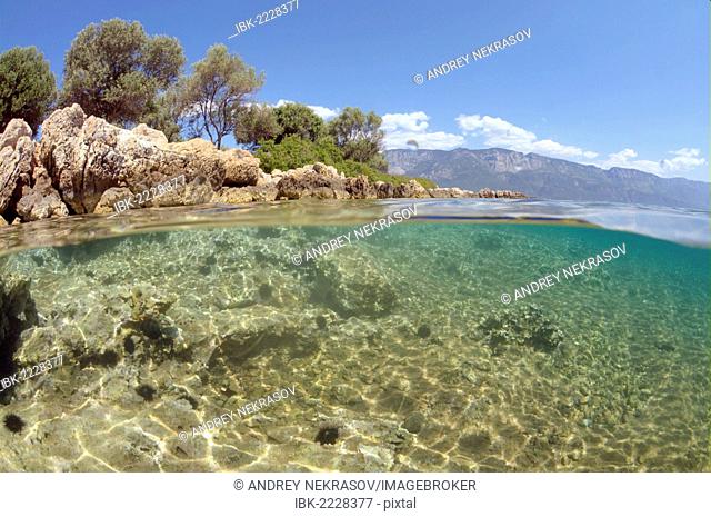 Underwater landscape, Marmaris, Turkey, Western Asia