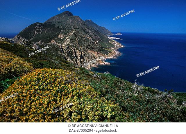 View of the island up to Punta Bassana and Punta Troia, Marettimo Island, Aegadian Islands, Sicily, Italy