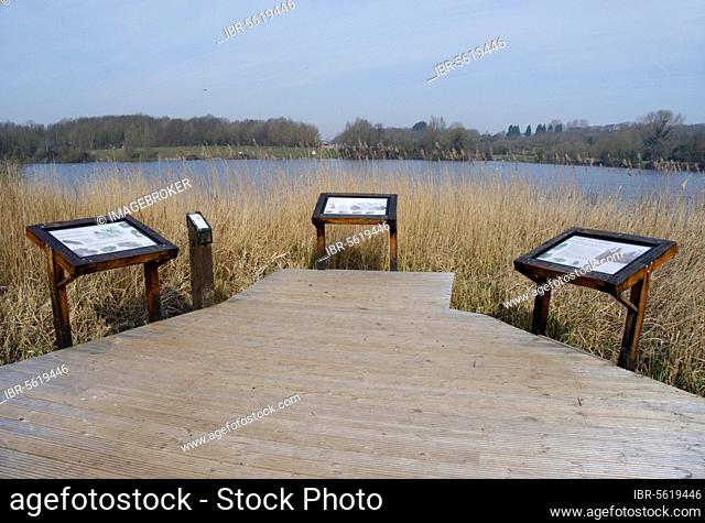Boardwalk and information boards overlooking the lake in a flooded former limestone quarry, Cosmeston Lake Country Park, Vale of Glamorgan, Glamorgan, Wales