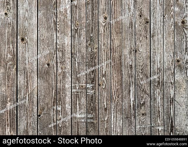 Natural gray barn wood wall. Wall texture background pattern. Wood planks, boards are old with a beautiful rustic look, style