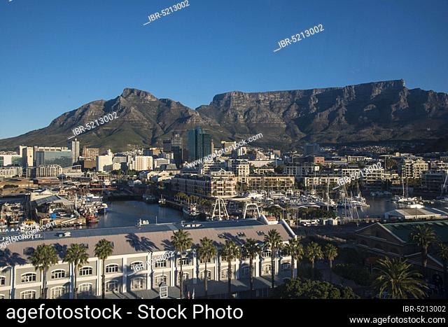 Victoria and Alfred Waterfront, from Cape Wheel, behind Devil's Peak and Table Mountain, Cape Town, Western Cape, Republic of South Africa (Victoria) and Alfred...