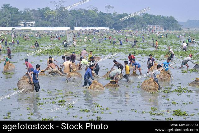Polo Bawa Utshob, a 200 year old festival. Villagers gather with their traditional fishing nets and Polo made of bamboo and cane at a Beel for a Traditional...