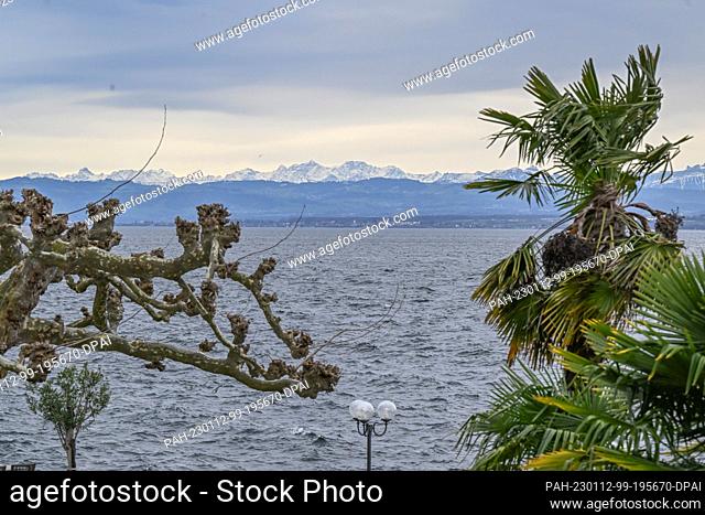 12 January 2023, Baden-Wuerttemberg, Meersburg: Deserted lies the lakeside promenade of Meersburg on Lake Constance, lined with palm trees and plane trees