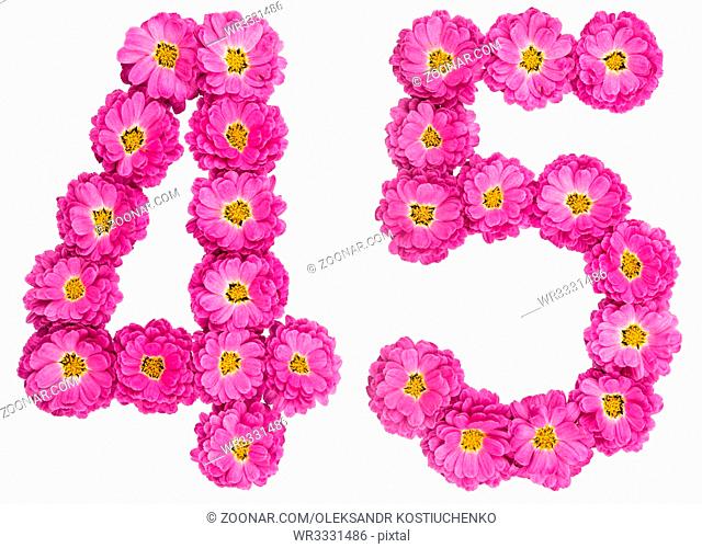 Arabic numeral 45, forty five, from flowers of chrysanthemum, isolated on white background