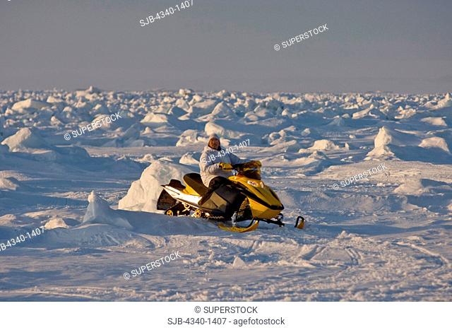 Inupiaq Whaler Traveling by Skidoo Over the Pack Ice, Chukchi Sea