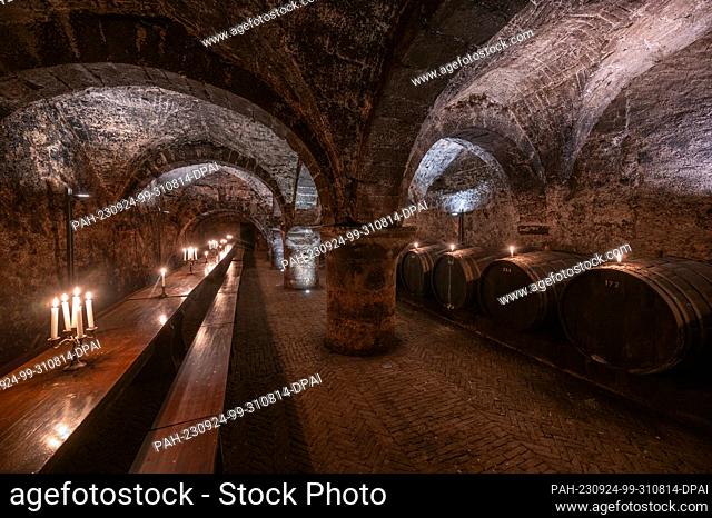 PRODUCTION - 19 September 2023, Trier: Wooden wine barrels are stored, tables and benches for tastings stand in the wine cellar of the Vereinigte Hospitien...
