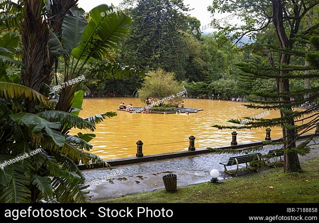 Botanical Garden, Thermal Water Pool at Terra Nostra Park, Furnas, Sao Miguel Island, Azores, Portugal, Europe