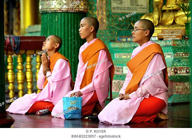 three Buddhistic nuns sitting praying at the Shwedagon Pagoda, the most important sacral building and religious centre of the country, Burma, Yangon