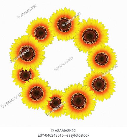 Orange Yellow Sunflower Wreath isolated on White Background. Vector Illustration