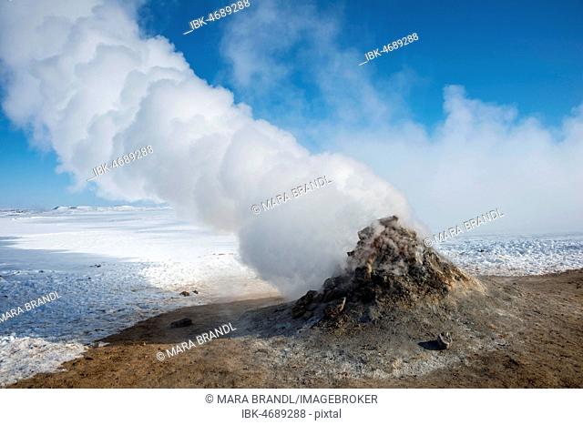 Steaming fumarole, solfatara in Hverarönd, also Hverir or Namaskard, geothermal area, North Iceland, Iceland