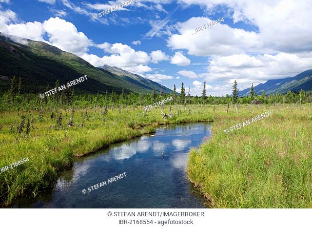 Small river near the Eagle River in Chugach State Park in Alaska, USA