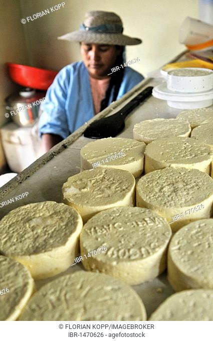 Woman in the production of fresh cheese in the Penas Valley, Oruro Department, Bolivia, South America