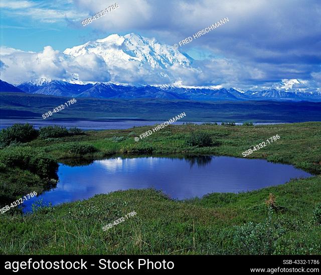 Tundra pond and McKinley River Bar with Denali or Mt. McKinley beyond, Denali National Park, Alaska