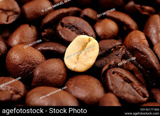 Roasted coffee beans with a green bean in half