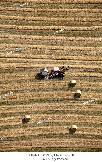 Aerial view, Obercastrop, harvester in midfield, Langeloh, silage rolls of straw, Castrop-Rauxel, Ruhr Area, North Rhine-Westphalia, Germany, Europe