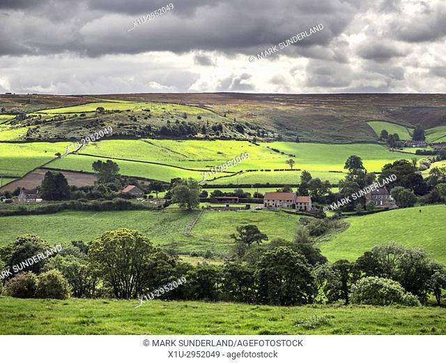 The Esk Valley in Summer near Danby North York Moors Yorkshire England