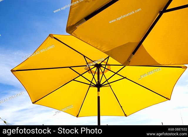 Umbrellas at the Lonsdale Quay, North Vancouver, British Columbia, Canada