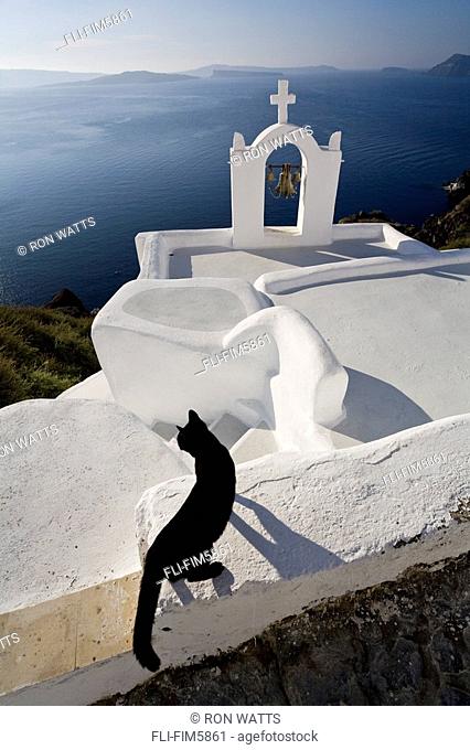 View of a Cat on a Wall in the Village of Oia perched on steep Cliffs overlooking the submerged Caldera, Santorini, Greece