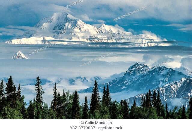 Denali ( Mt McKinley) from Ranger Dave Johnston's log cabin near Talkeetna, Alaska
