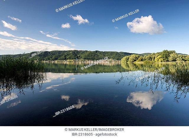 Reflection on Lake Constance near Ludwigshafen, town of Bodman at the back, Bodenseekreis district, Baden-Wuerttemberg, Germany, Europe