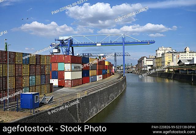 25 August 2022, Hessen, Frankfurt/Main: Cranes are at work at the container terminal in Frankfurt's Osthafen. Due to the low water levels in the Rhine