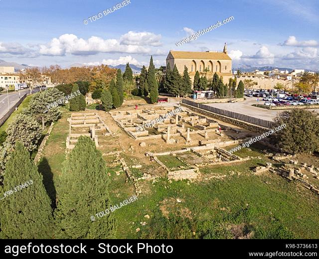 Roman city of Pollentia, Alcudia, Mallorca, Balearic Islands, Spain
